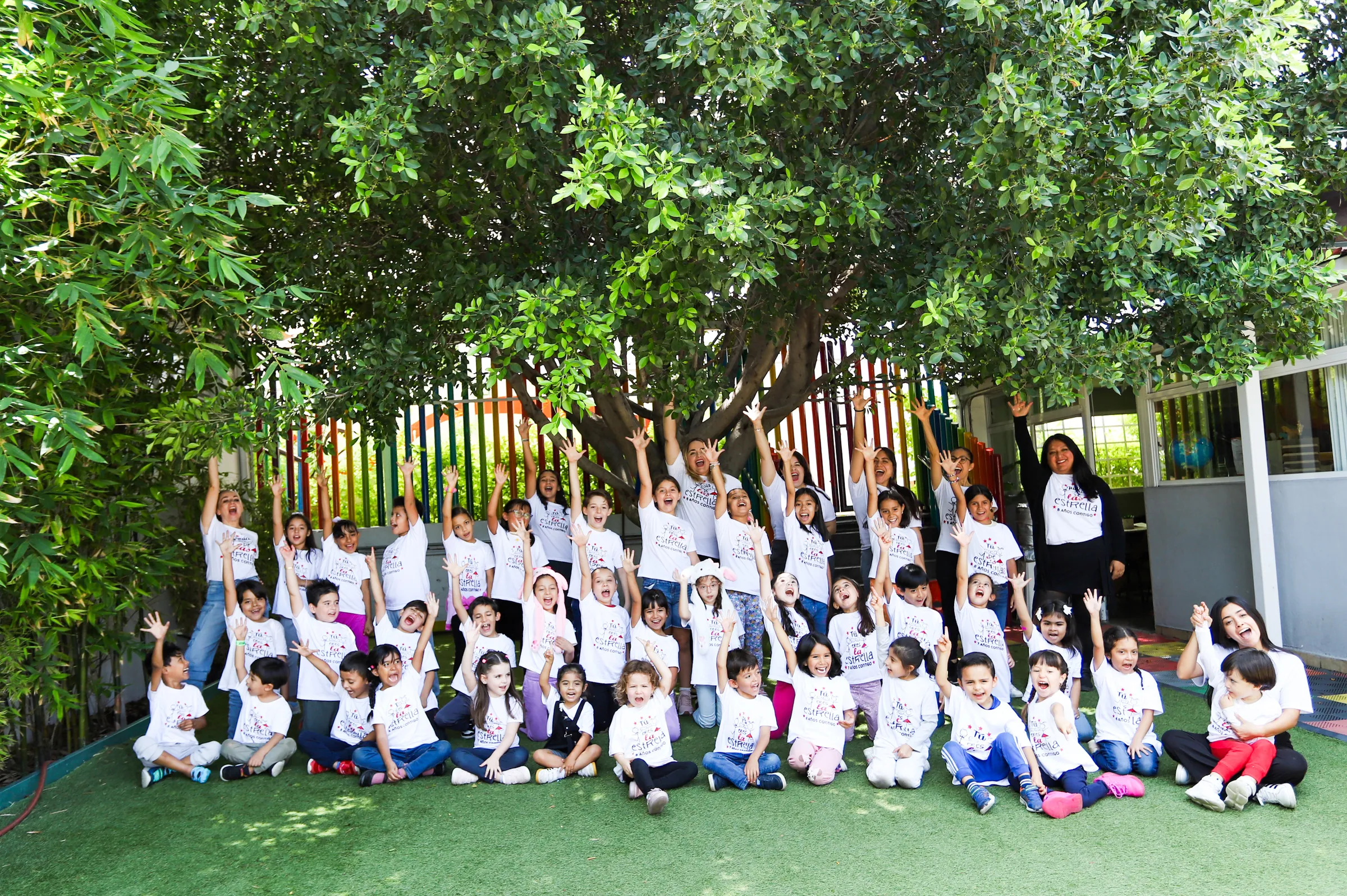 Actividad del curso de verano